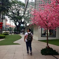 I Made Agus Subamia (@bamiawarning) 's Twitter Profile