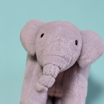 tomoko_elephant Profile Picture