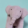 tomoko_elephant's profile picture. 上野動物園 アルンの記録 🐘