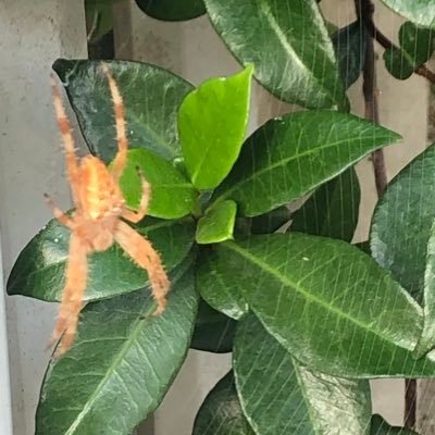 bulent7sari's profile picture. 🐞⚖️🤠✍️👨‍👧‍👧🦆🐋🐬🐳🐘🔼🔺