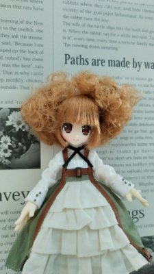 nY36ixuunvAV75o's profile picture. ドール用アカウントです。リルフェアリーや小さいドールとちょっとした日常をつづっていこうと思います。