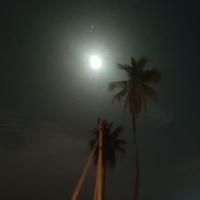 rknaik04's profile picture. 