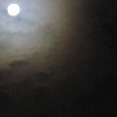 yab_isc's profile picture. 