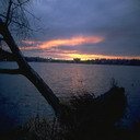 black Forest - @forest_black - Twitter