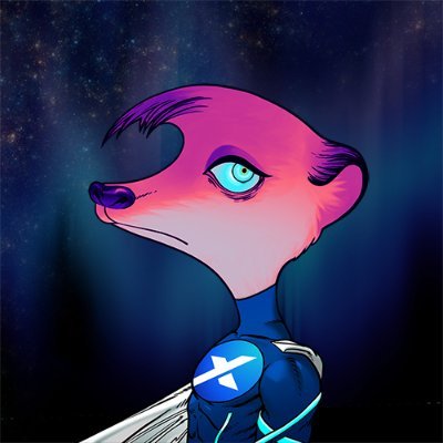 GalaXY Kats is a collection of 10,000 unique meerkat #NFTs OpenSea: https://t.co/TzmhHgPPtS…