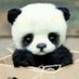 Hoping for a Baby Panda (@forababypanda) Twitter profile photo