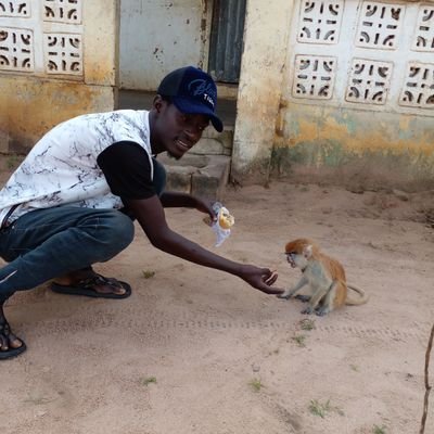 Jammeh2Seedia's profile picture. 