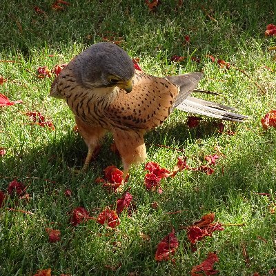 0815Knight's profile picture. YouTube Göttingen
https://t.co/XgcxH5aqjE


Ich bin nur wegen Spaces hier.
Gg.

Steckbrief? Kannste knicken.

Mua. Deep.