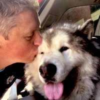 JP Flanagan (@jpflanagan1) 's Twitter Profile Photo