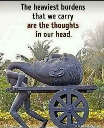 LaubenWakaka's profile picture. vet doc...doing my thing