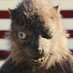 Mooter (@mooterscooter3) Twitter profile photo Mooter (@mooterscooter3) Twitter profile photo