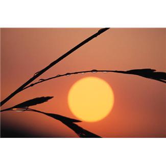 PoohFairy's profile picture. Colon Hydrotherapy, Reiki, Reflexology in Campbell River BC