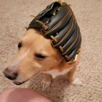Kyle Sutton (@getjaked) 's Twitter Profile