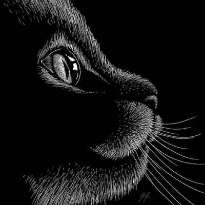 abu_anon's profile picture. 