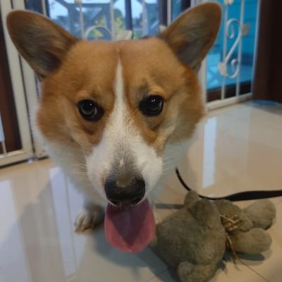 Musicsanさんのプロフィール画像