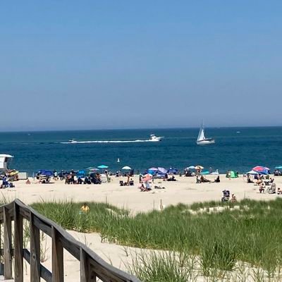 Chandre73792633's profile picture. 