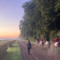 J SOUDAN Racing (@ecuriejsoudan) 's Twitter Profile Photo J SOUDAN Racing (@ecuriejsoudan) 's Twitter Profile Photo