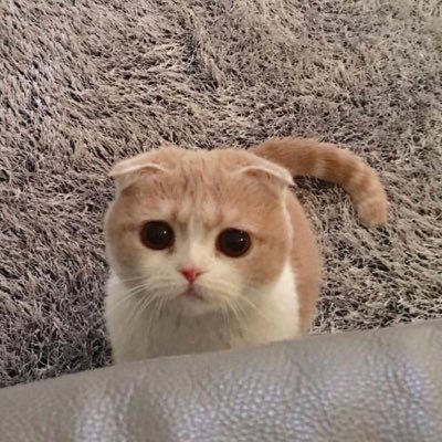 สาวคอนซั้ลคนนั้น☆さんのプロフィール画像