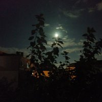 Eyvallah (@zeynepv_k) 's Twitter Profile Photo