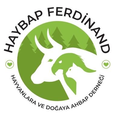 Angels Farm Sanctuary Tr (Türkiye'nin ve dünyanın en büyük çiftlik hayvanlarını koruma kurtarma çiftliği )Destek için: https://t.co/WI9dwlimb5