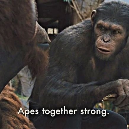 0xInverseVIX's profile picture. ANON