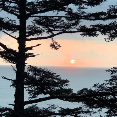 DeepInTheCrust's profile picture. 