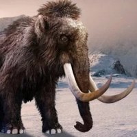 Sergei Mamont (@oldmamont) 's Twitter Profile