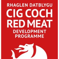 Red Meat Development Programme(@RMDPcymru) 's Twitter Profile Photo