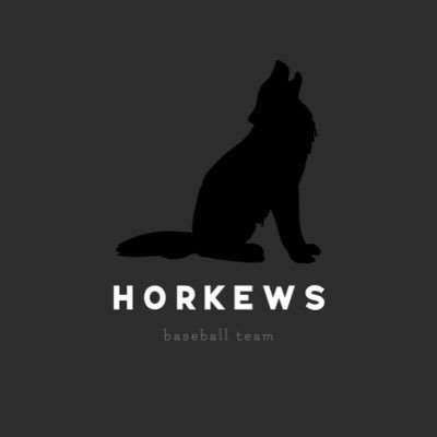 札幌草野球チーム horkews （ホロケウズ）です。 horkews はこれから始動していくチームです。一緒に立ち上げからチームを作りませんか！ #札幌草野球　#新チーム始動　#メンバー募集中　