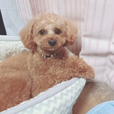 29歳。岐阜県岐阜市在住。 3年間勤めた会社員を退職後、デリヘルで起業。更にメンズエステを立ち上げて売却。現在デリヘル4店舗オーナー。デリヘルFC本部の社長。フランチャイズオーナー様募集中。資金面の出資もしております。お問い合わせはDMまで。