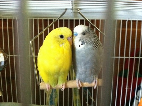 manda8407's profile picture. A mistake is simply another way of doing things.