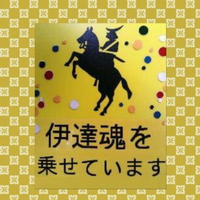 若葉ミキ@美濃国サーバさんのプロフィール画像