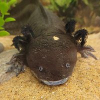 EpsomC_Science (@epsomc_science) 's Twitter Profile Photo EpsomC_Science (@epsomc_science) 's Twitter Profile Photo