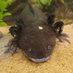 EpsomC_Science (@epsomc_science) Twitter profile photo EpsomC_Science (@epsomc_science) Twitter profile photo