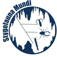 Stygofauna Mundi (@stygofaunamundi) 's Twitter Profile