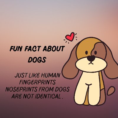 BelmaAr_'s profile picture. Dog Lover! Art Lover! Crypto Newbie! I support the underdog! #NFT #Cardano