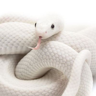 26letterworld's profile picture. I should probably do something with this account???