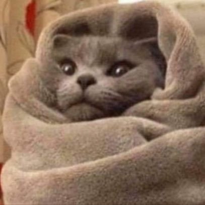 SidChan25's profile picture. All I need is sleep and food