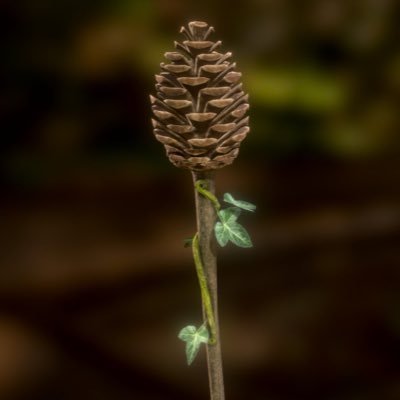 Y999Y6's profile picture. 𒀭