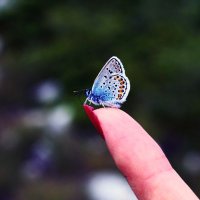 Micca (@micca_art) 's Twitter Profile