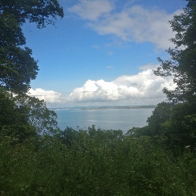 AdamLVallance's profile picture. Person