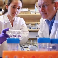 Research and teaching focused on solving unmet clinical needs in the areas of cardiovascular diseases, rehabilitation medicine, optics and imaging, and cancer.