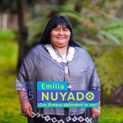 Diputada de la República por el distrito 25, ex Consejera Nacional Indigena, ex concejal por la comuna de San Pablo, incansable luchadora por la justicia social