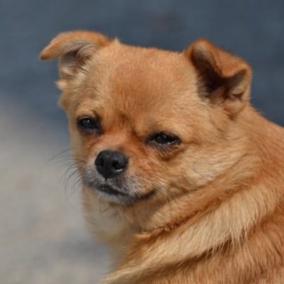 Dayters_'s profile picture. 20k inactive subscribers 😘https://t.co/0wR6UTpaiL