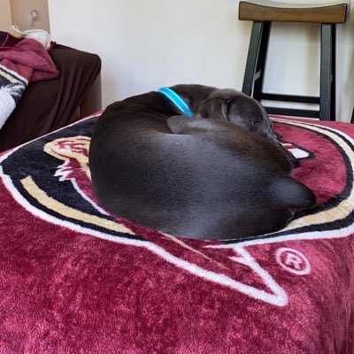 RaulDelCastil18's profile picture. 