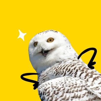 WUYAさんのプロフィール画像
