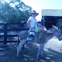 Ana Lu (@analusanor) 's Twitter Profile