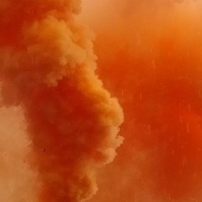 nickgames7665's profile picture.