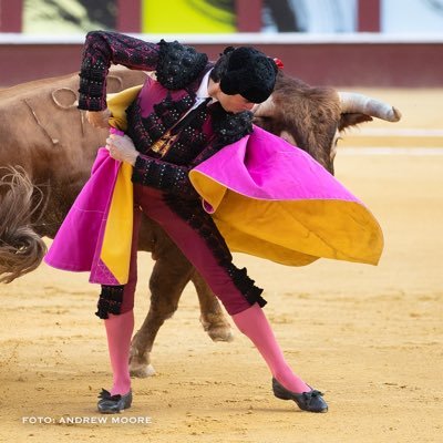 Se habla de toros 🤘