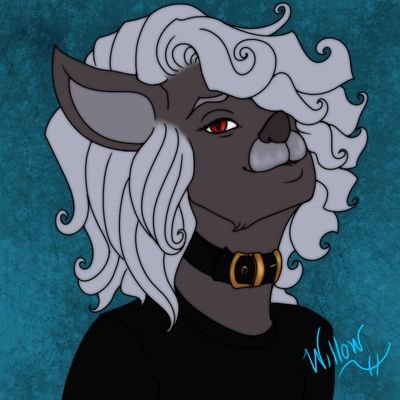 Dreolanさんのプロフィール画像